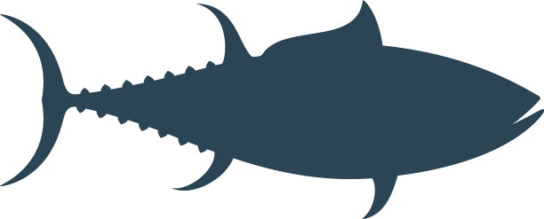 金枪鱼图片下载