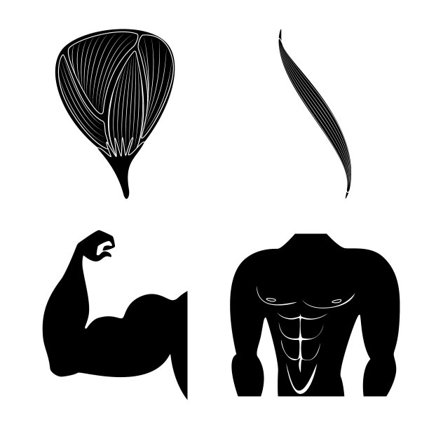 设计人体和人体标志设置人为图片下载