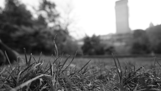 逃离城市生活图片下载