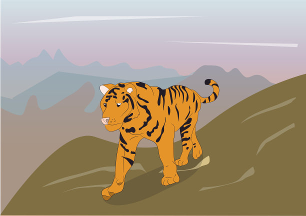 一只在大自然上的老虎图片下载