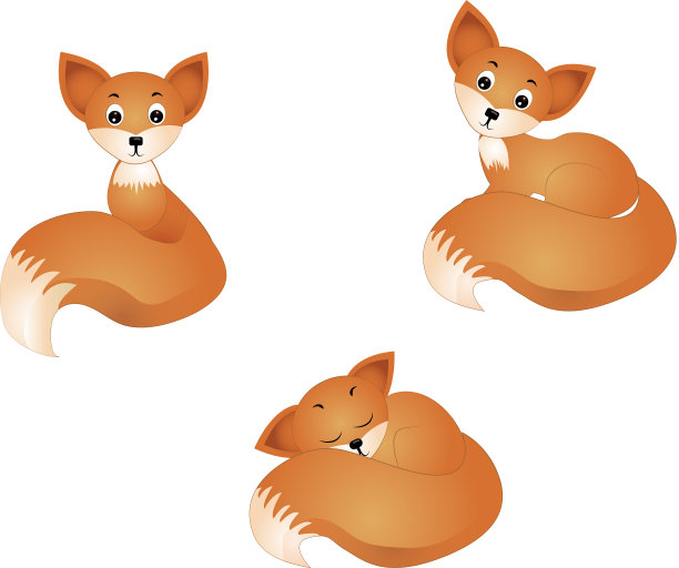 狐狸孤立在白色图片下载