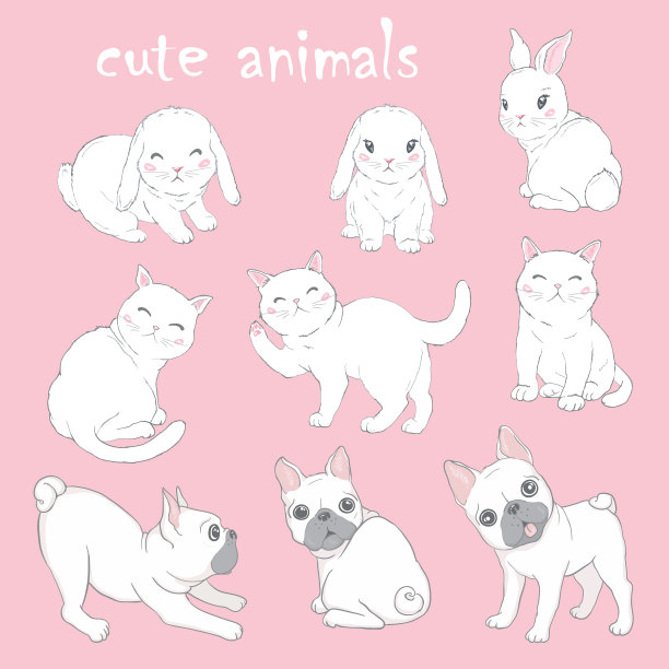 配以动物海报猫狗兔图片下载