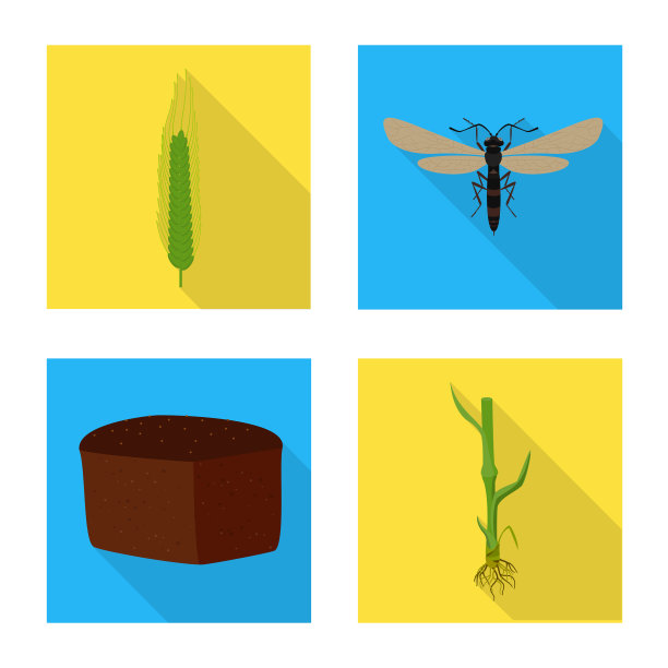 隔离对象小麦和玉米的图标集图片下载