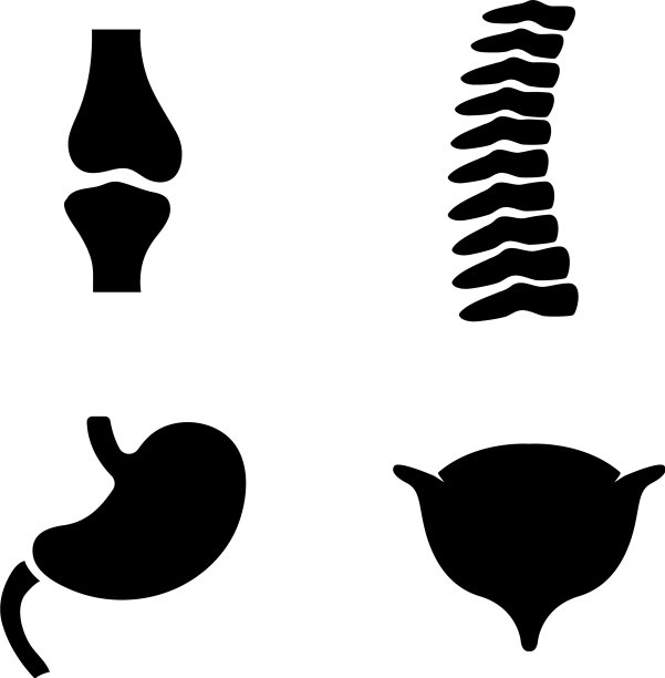 人体器官简单相关图标图片下载