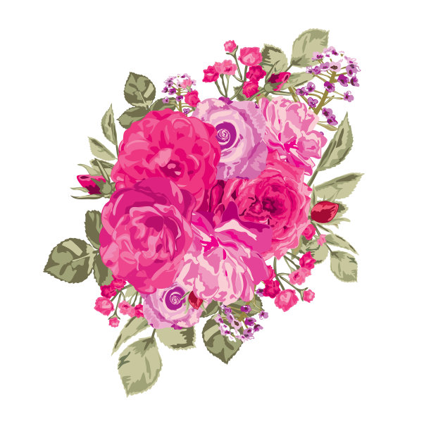 玫瑰花香气味图片下载