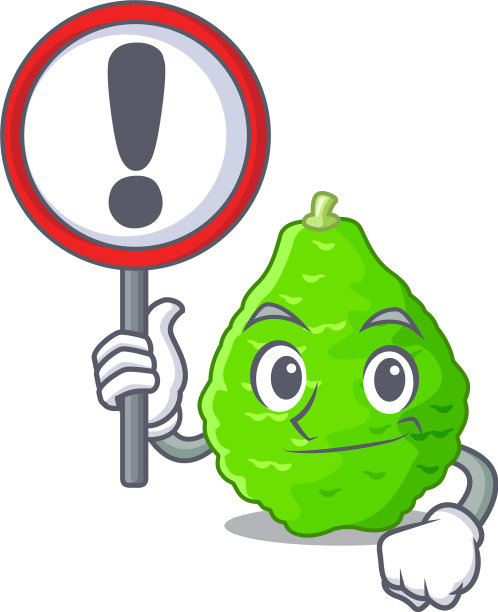 用青柠篮做的蔬菜吉祥物图片下载