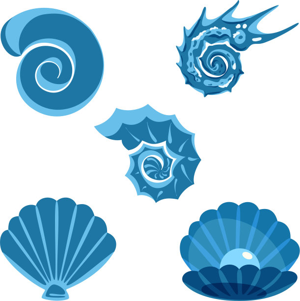 一组海洋生物图片下载