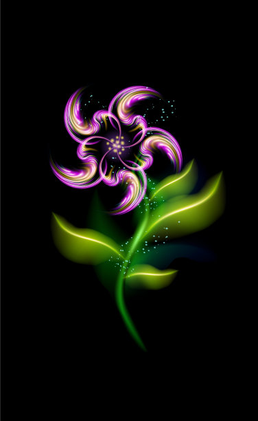 鲜艳的现代紫花，五颜六色的观赏性图片下载