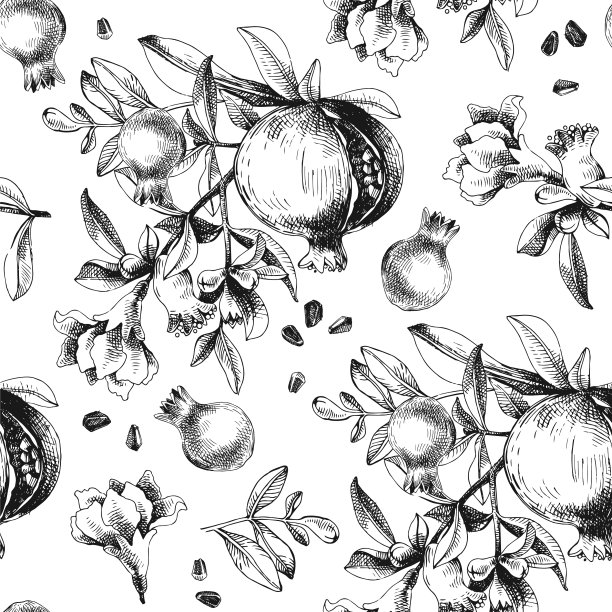 无缝图案与手绘石榴图片下载