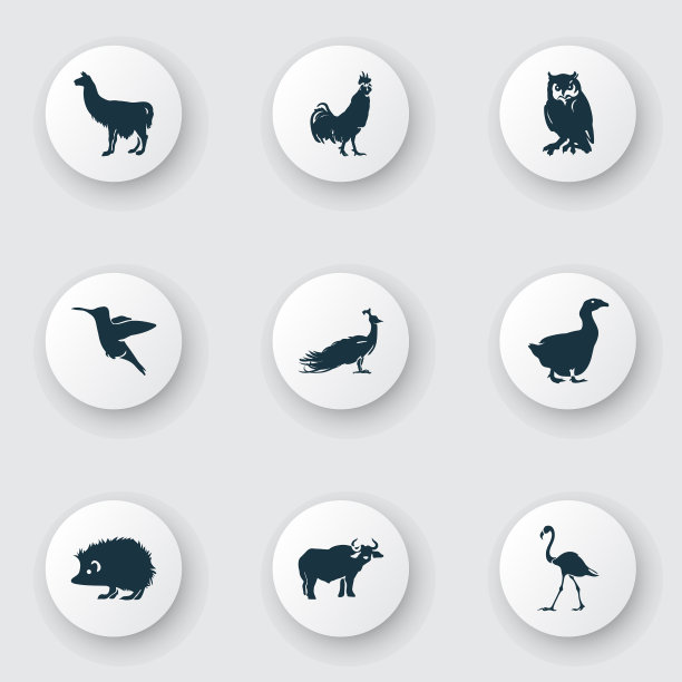 动物园的图标设置有牛、猫头鹰、刺猬等图片下载