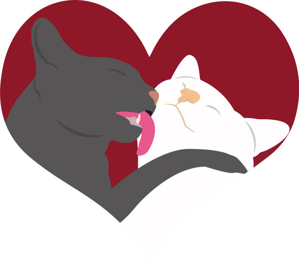 猫在爱的心图片下载