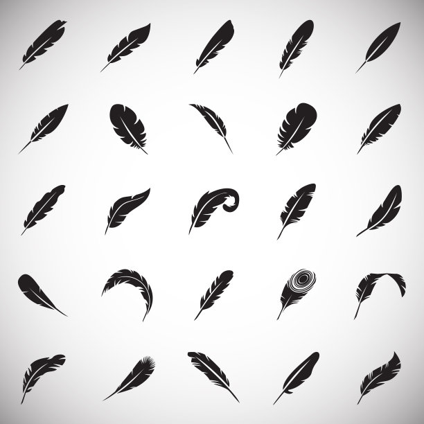 羽毛图标设置在白色背景的图形图片下载
