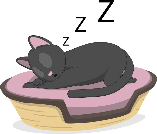 一只猫在篮子里睡觉图片下载