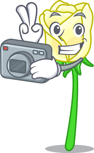 摄影师白玫瑰在人物桌上图片下载