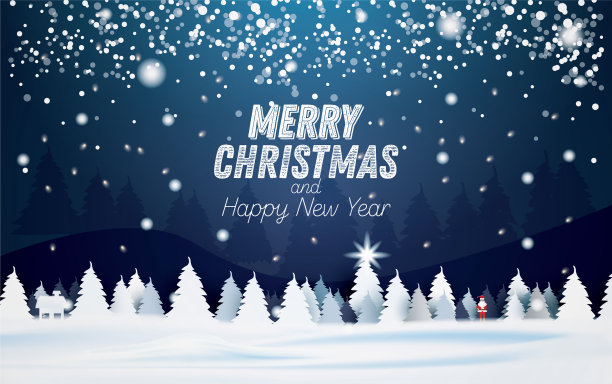 雪夜森林景观与云杉图片下载