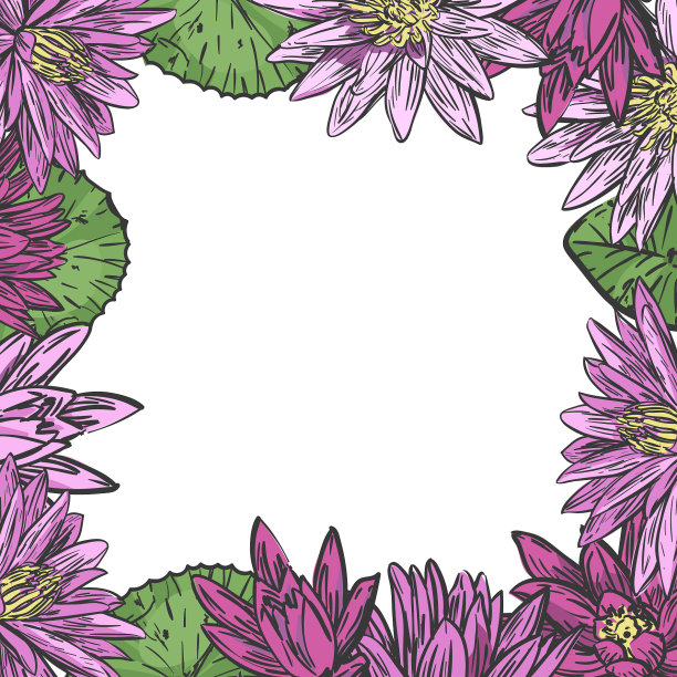 睡莲框模板图片下载