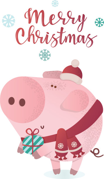 可爱的小猪戴着冬季围巾和礼物图片下载