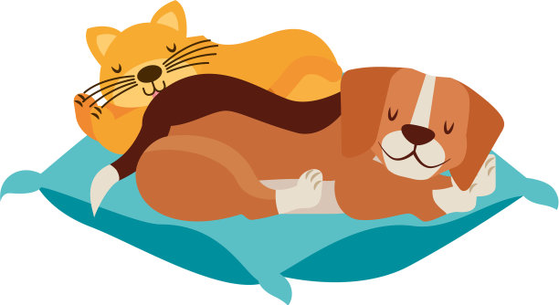 狗和猫的宠物靠垫图片下载