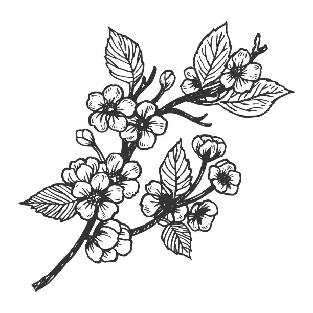 樱花雕刻图片下载