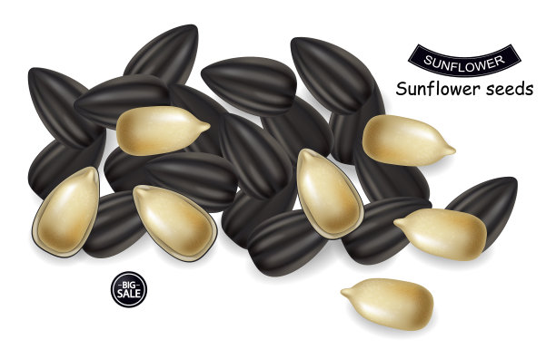 向日葵种子现实的黑暗背景3d图片下载