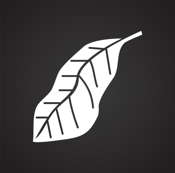 热带叶在黑色背景的图形和图片下载