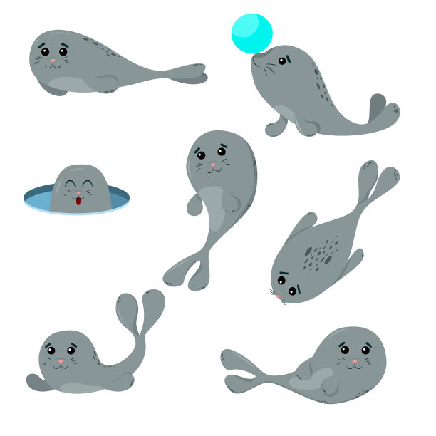 海狮动物卡通人物孤立上图片下载