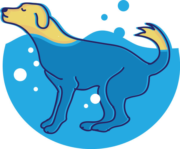 狗或小狗游泳图片下载