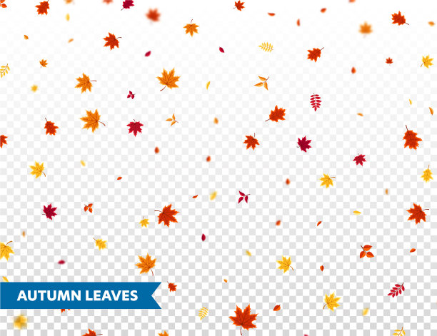 秋天的落叶自然的背景是红色的图片下载