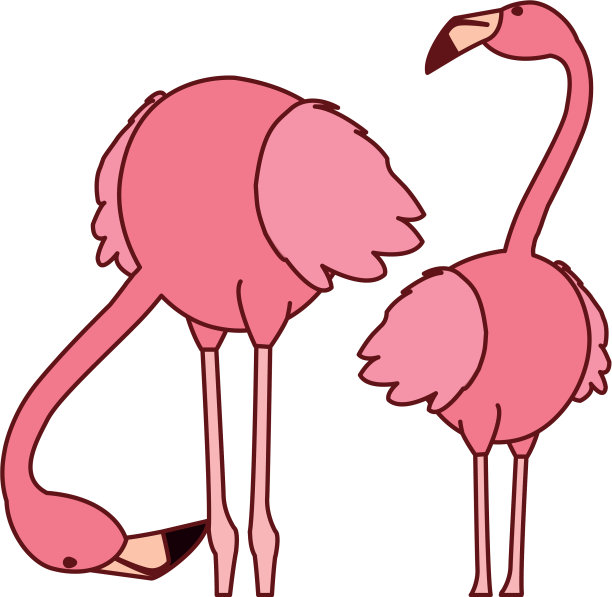 奇特的粉色佛兰德夫妇鸟与不同图片下载