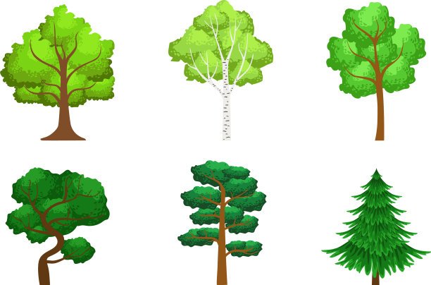 收集绿色的针叶树和落叶树图片下载