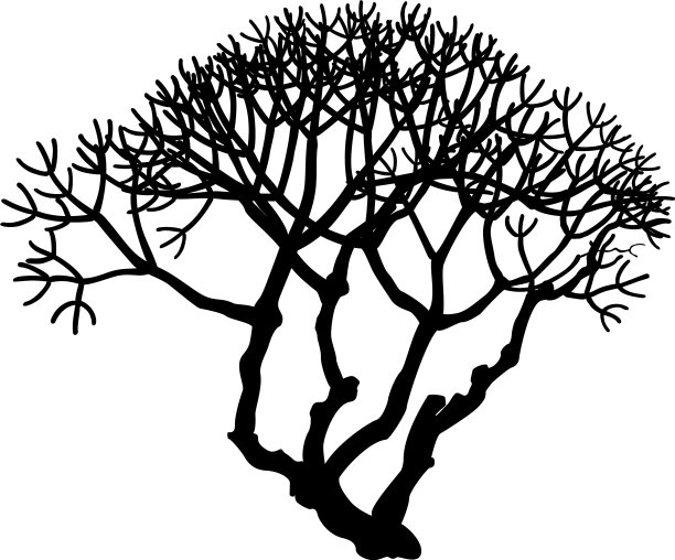 手绘植物剪辑艺术图片下载