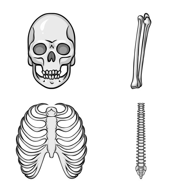 隔离物体生物和医疗图标集图片下载