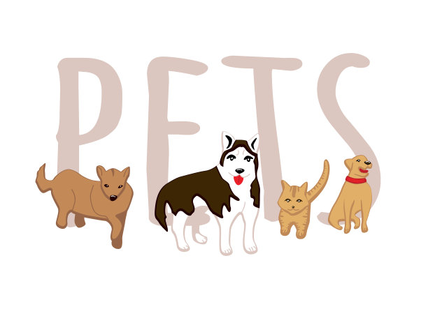 狗和猫孤立在白色背景图片下载