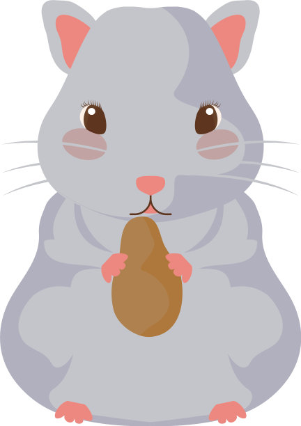 小仓鼠灰色，白色背景图片下载