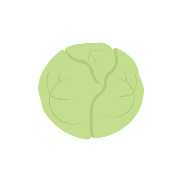卷心菜图标在白色背景的图形和图片下载