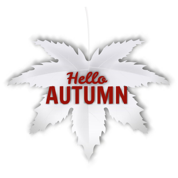 秋叶白白的，秋色的，秋你好图片下载