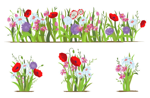 花坛套野生森林和花园花图片下载