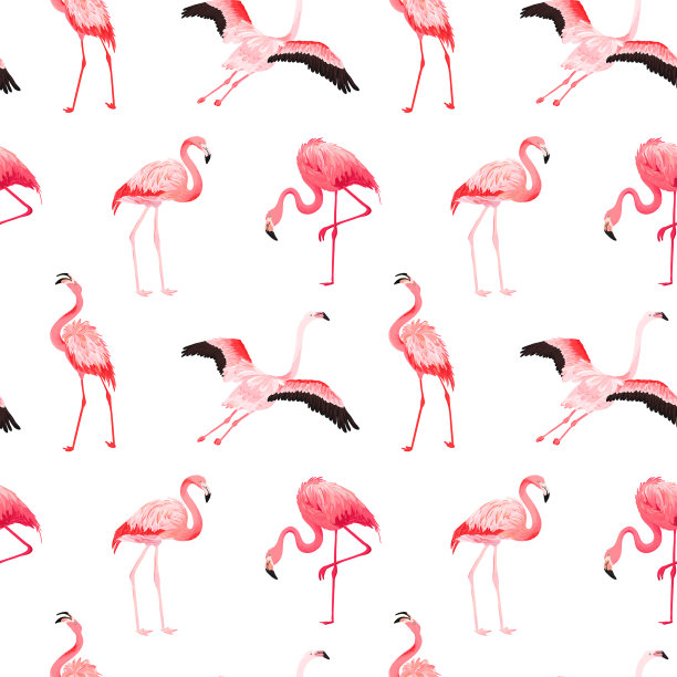 热带火烈鸟无缝夏季图案图片下载