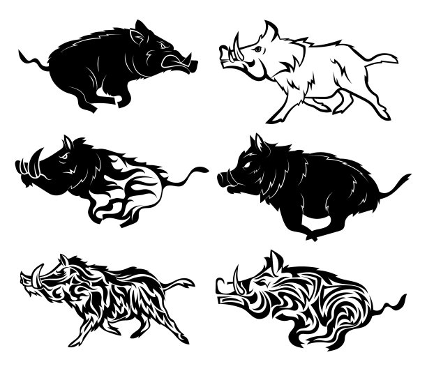 集奔跑野猪收集程式化图片下载