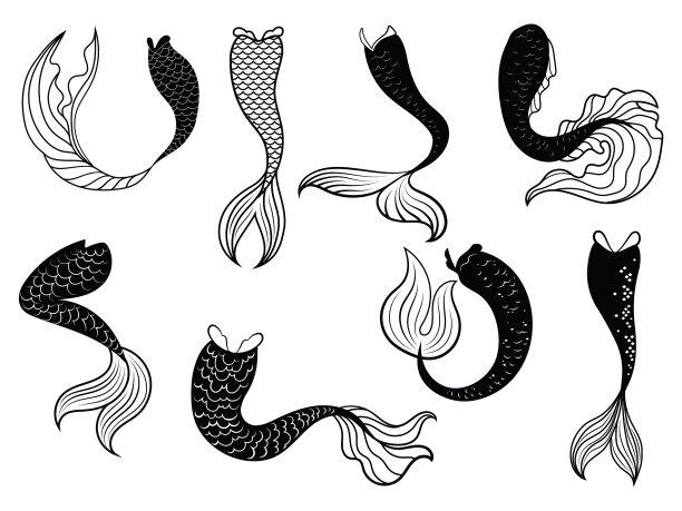 设定美人鱼的尾巴收集风格化图片下载