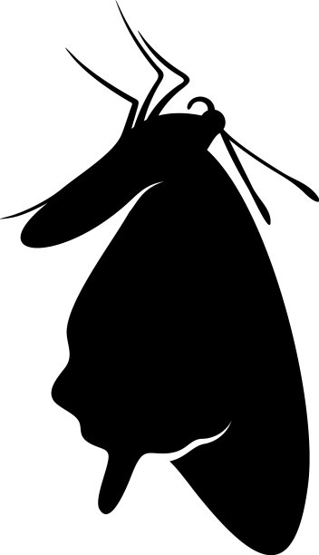 蝴蝶标志设计蝴蝶标志模板图片下载