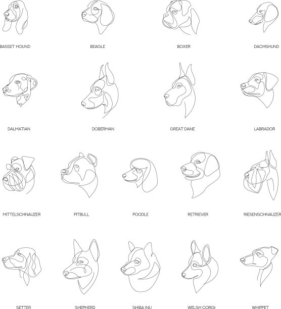 犬种在最小风格集一图片下载