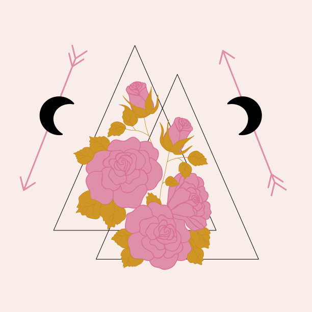 粉红色的玫瑰和几何箭头图片下载