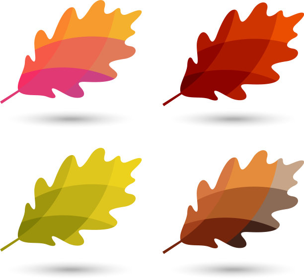 五颜六色的秋叶图片下载