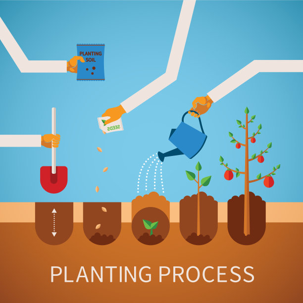 时间轴信息图概念种植过程图片下载