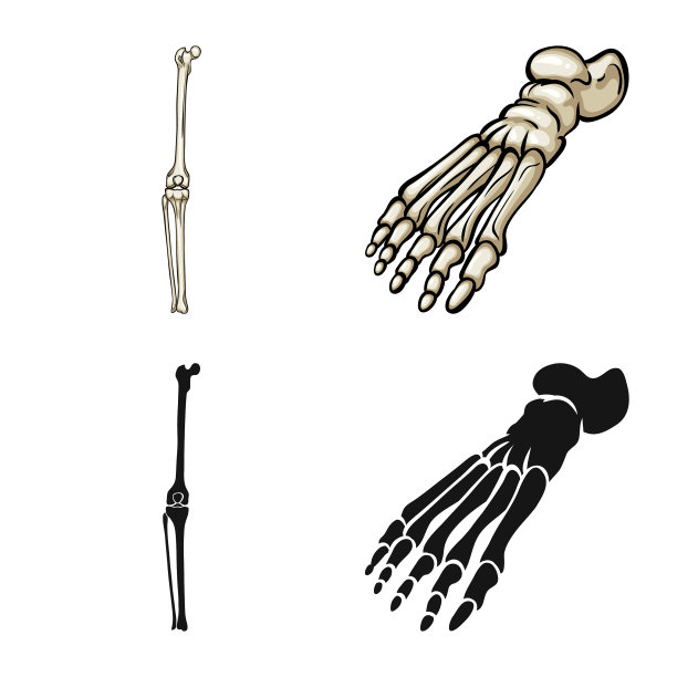 医学和临床图标图片下载