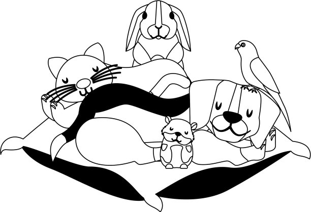 狗，猫，仓鼠，兔子和鸟在垫子床上图片下载