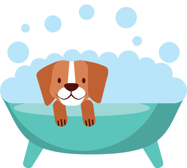 宠物店相关图片下载