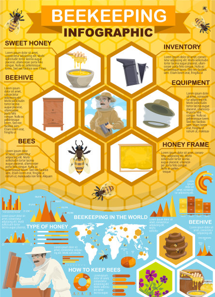 养蜂人蜂蜜收集蜂房信息图图片下载