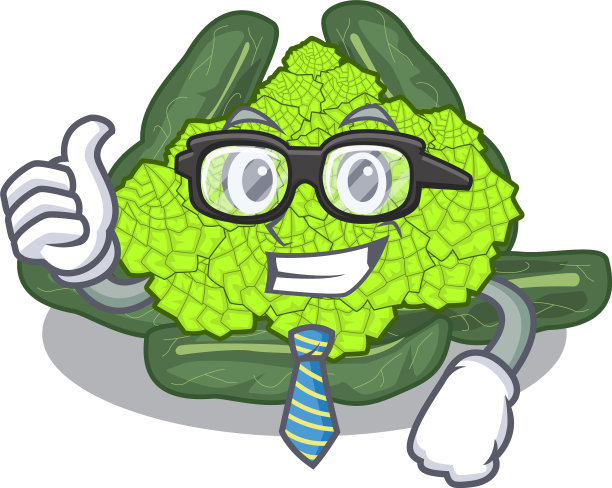 商人细节罗马花椰菜的纹理图片下载